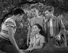 hardy6.jpg